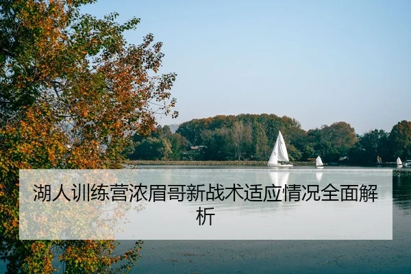 湖人训练营浓眉哥新战术适应情况全面解析